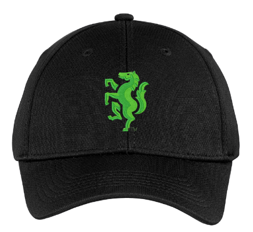 Youth Rearing Horse Cap