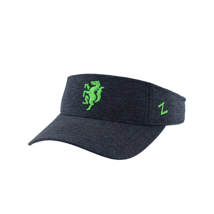 LSC Visor