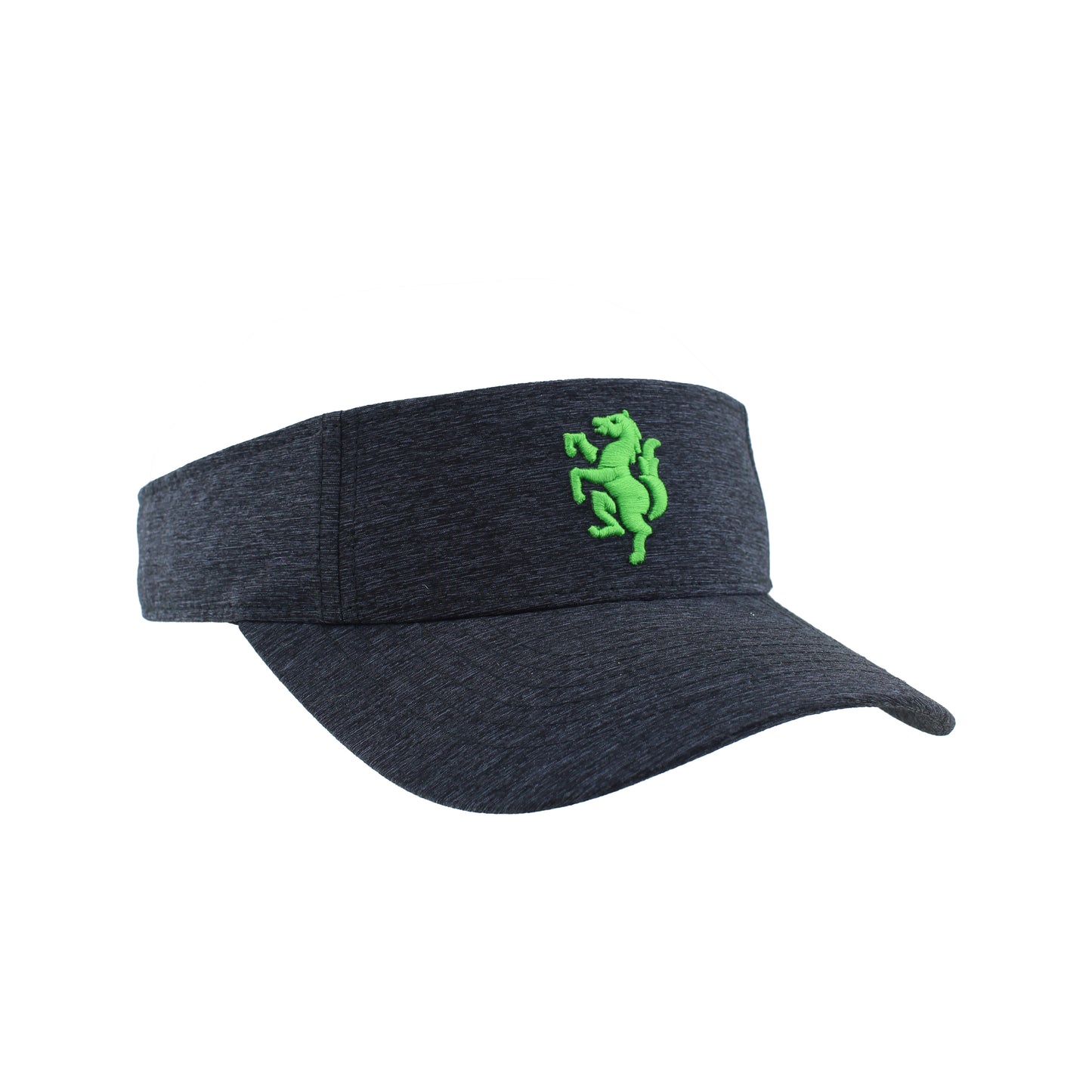 LSC Visor