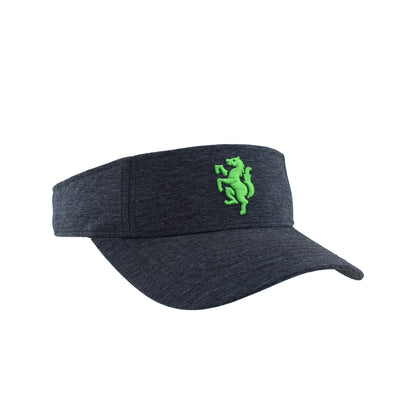 LSC Visor