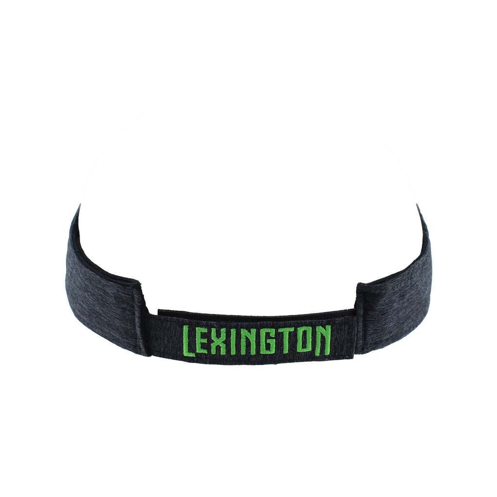 LSC Visor
