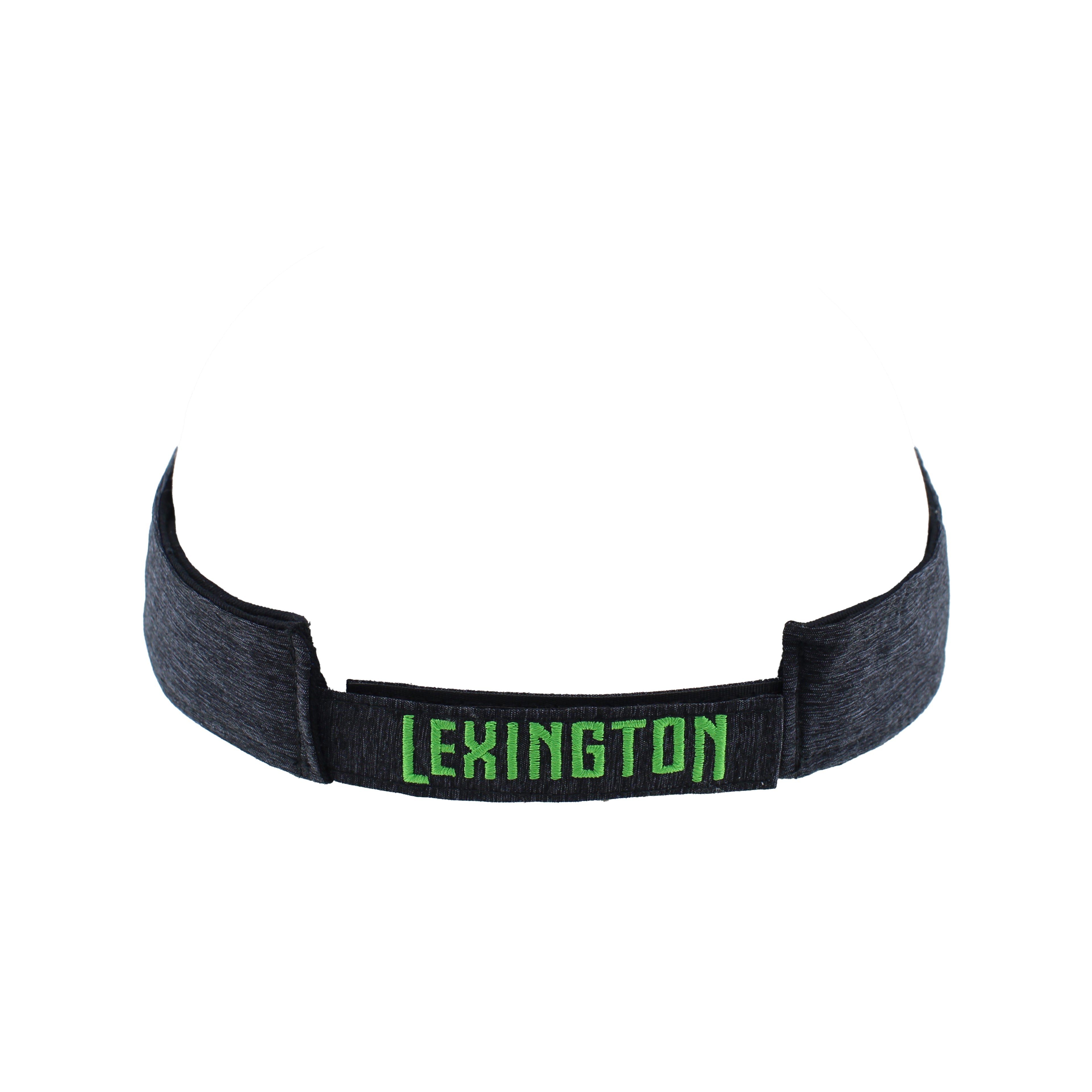 LSC Visor