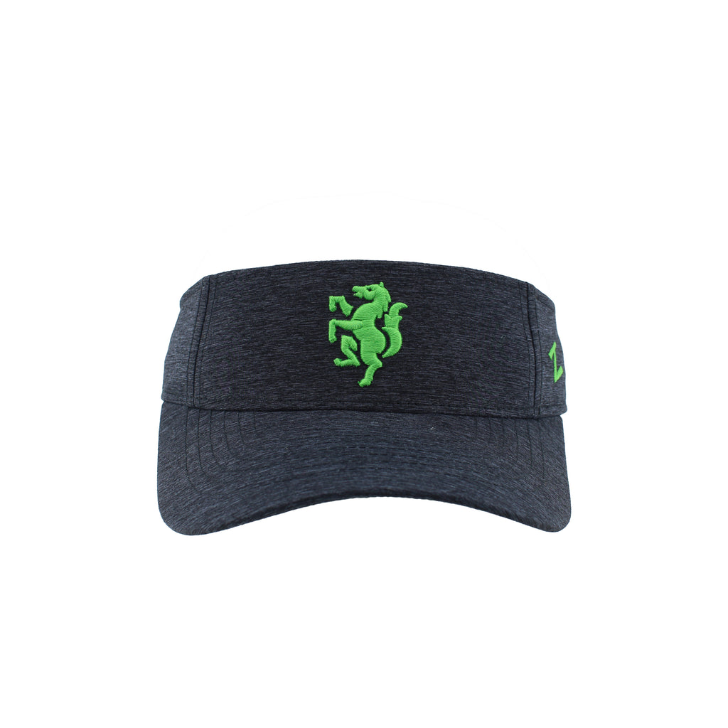LSC Visor