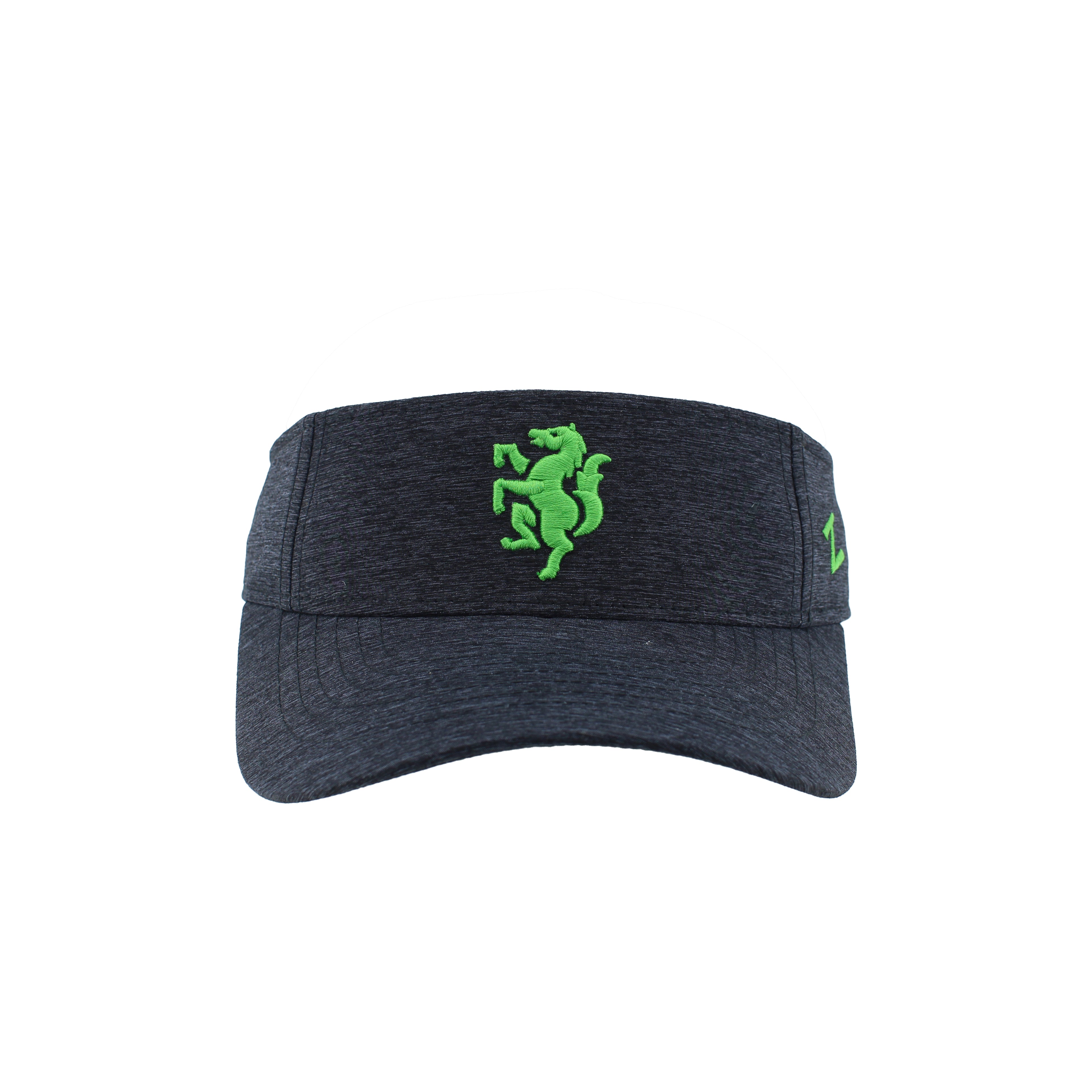LSC Visor