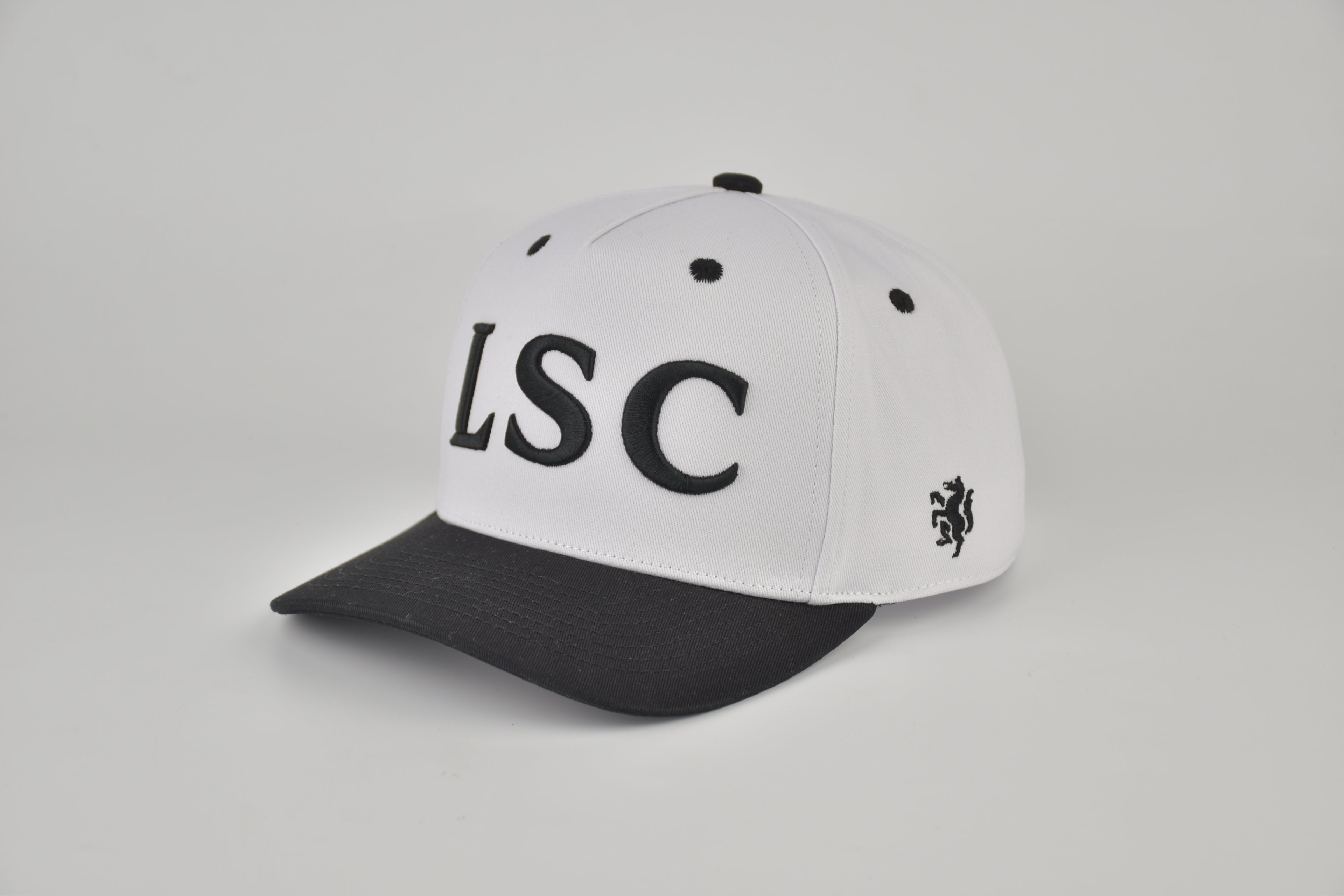 LSC Raised