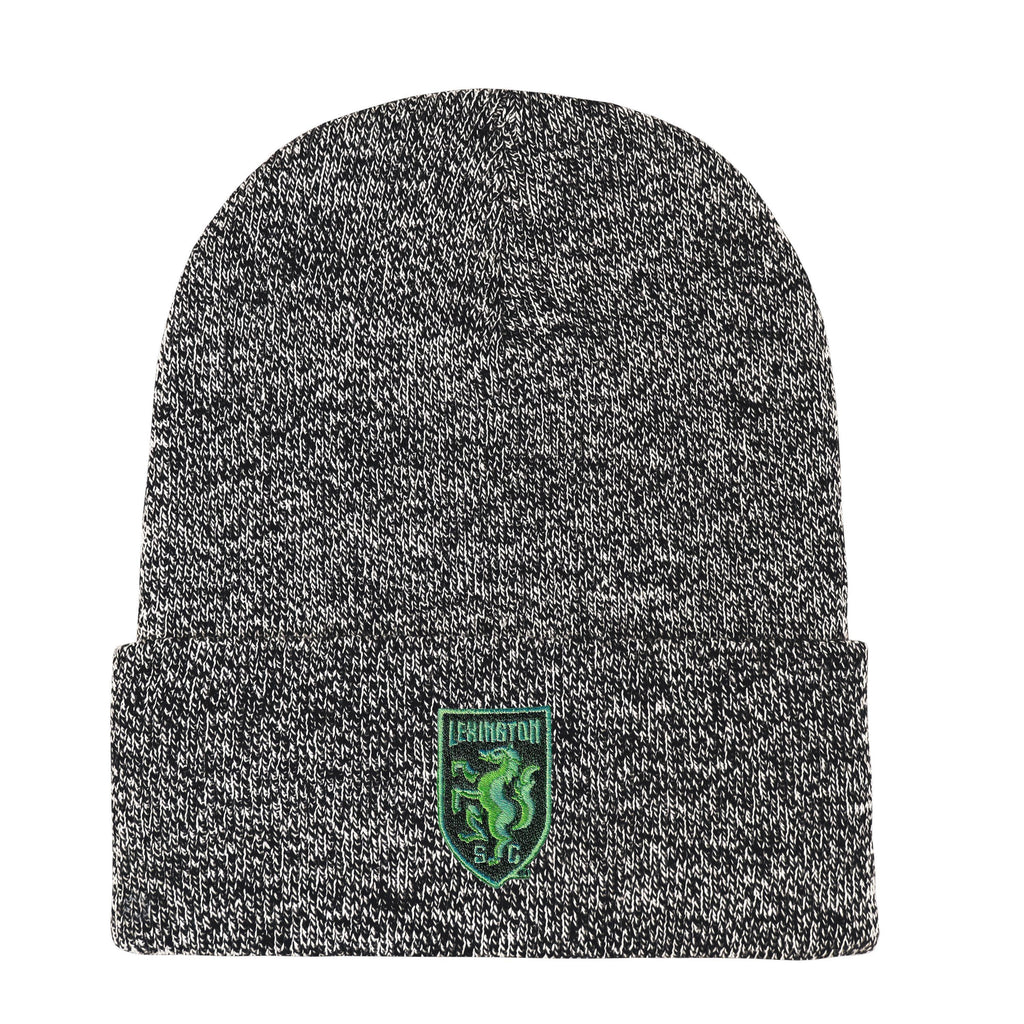 The Bueller Beanie
