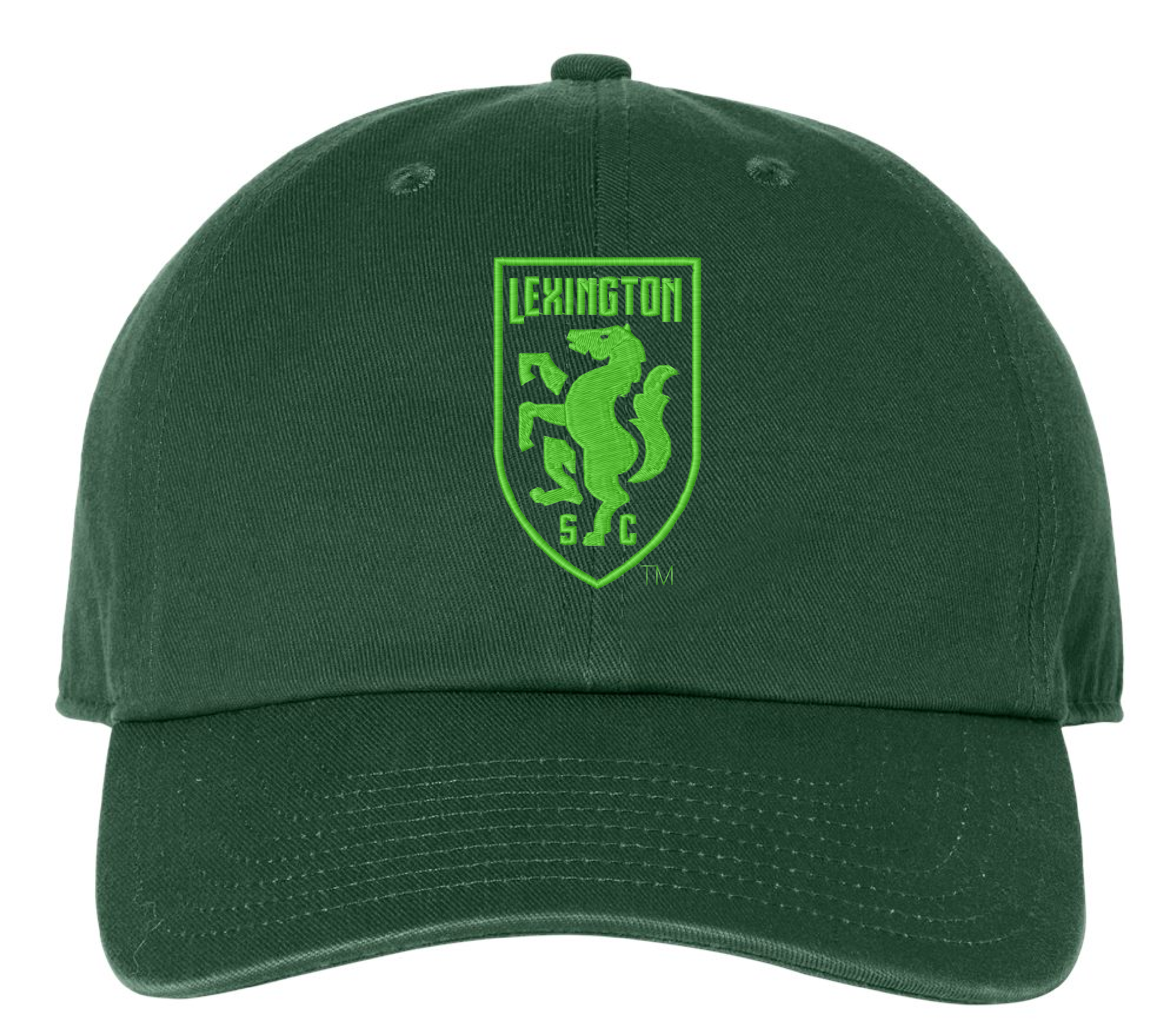 47 Shield Dad Cap