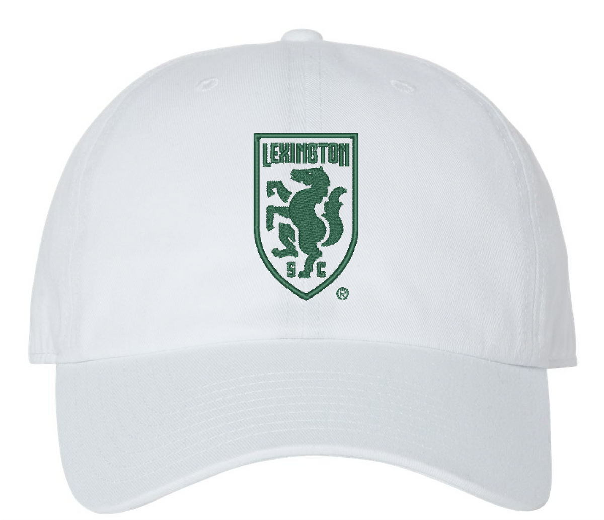 47 Shield Dad Cap