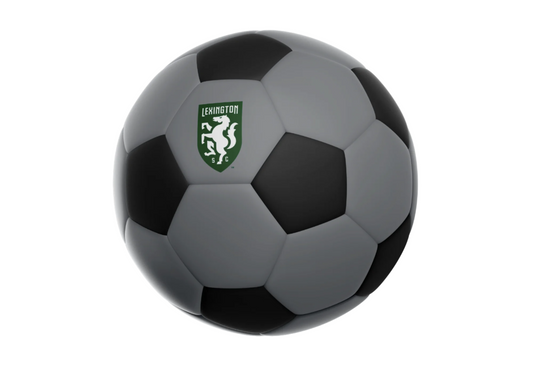 2025 Size 2 Soccer Ball