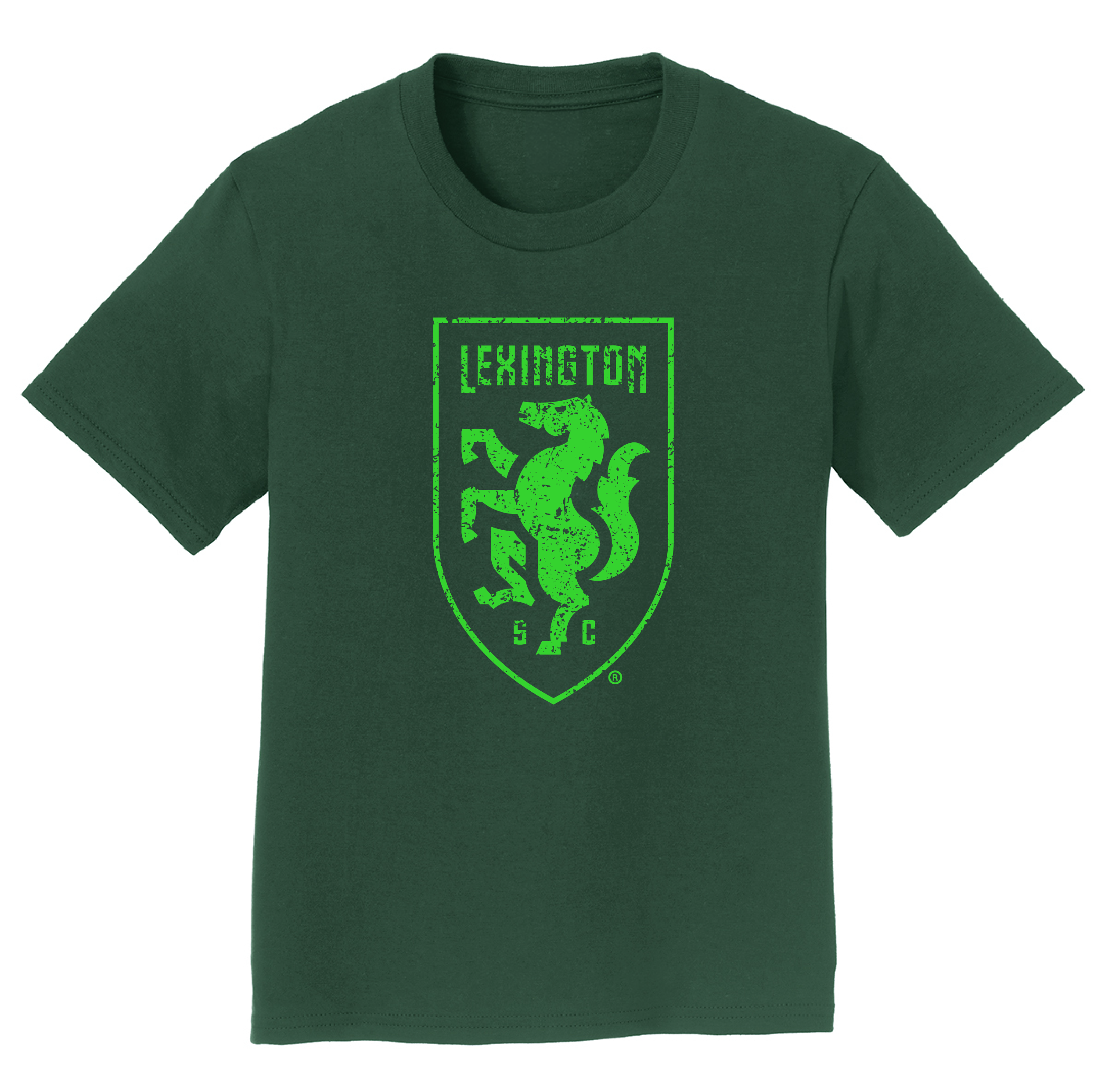 Shield Distressed Youth Tee