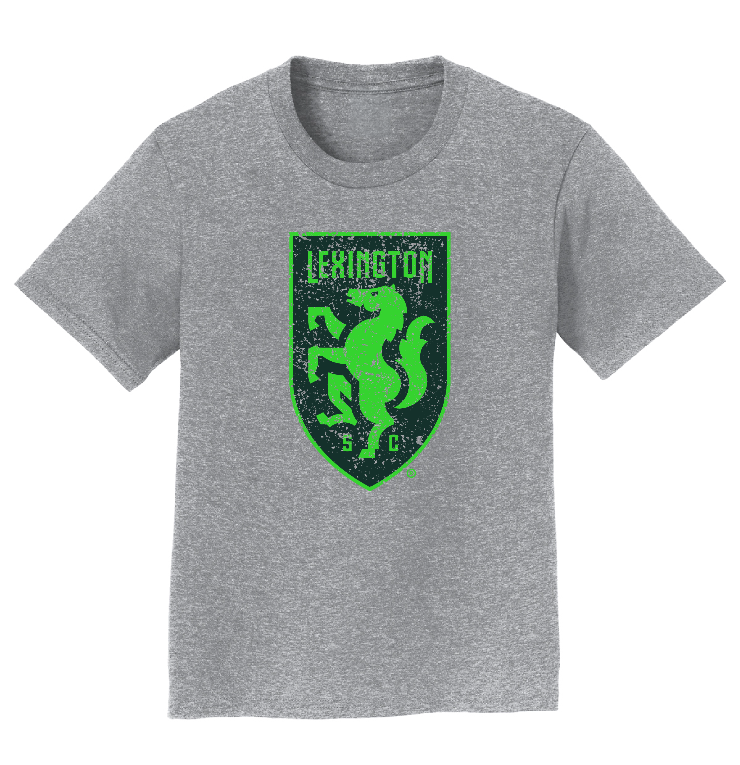 Shield Distressed Youth Tee