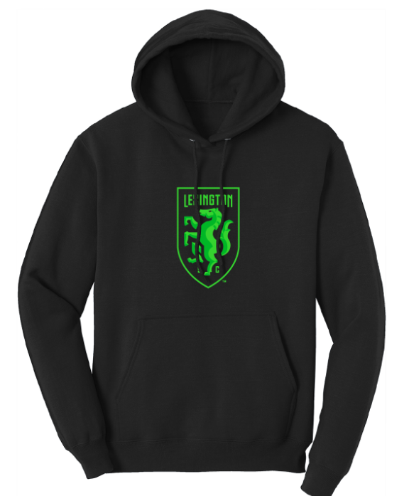 Shield Core Fleece Hoodie