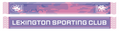Super League 25 Away Scarf